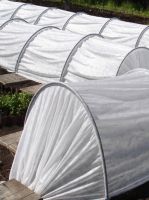 Парник "Орех" из пластиковых труб