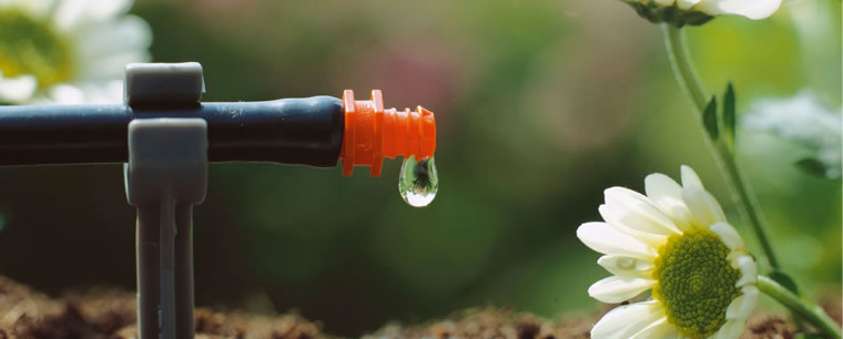 Микракапельный полив