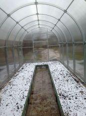 Теплица "ОРЕХ"