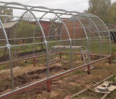 Теплица "ОРЕХ"