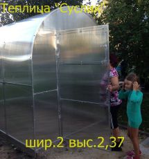 Теплица СУСЛИК