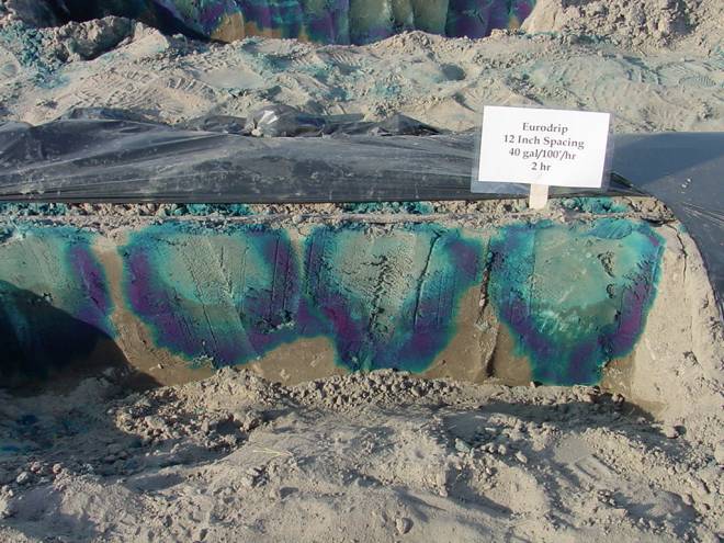 Так смачивается почка капельной линией